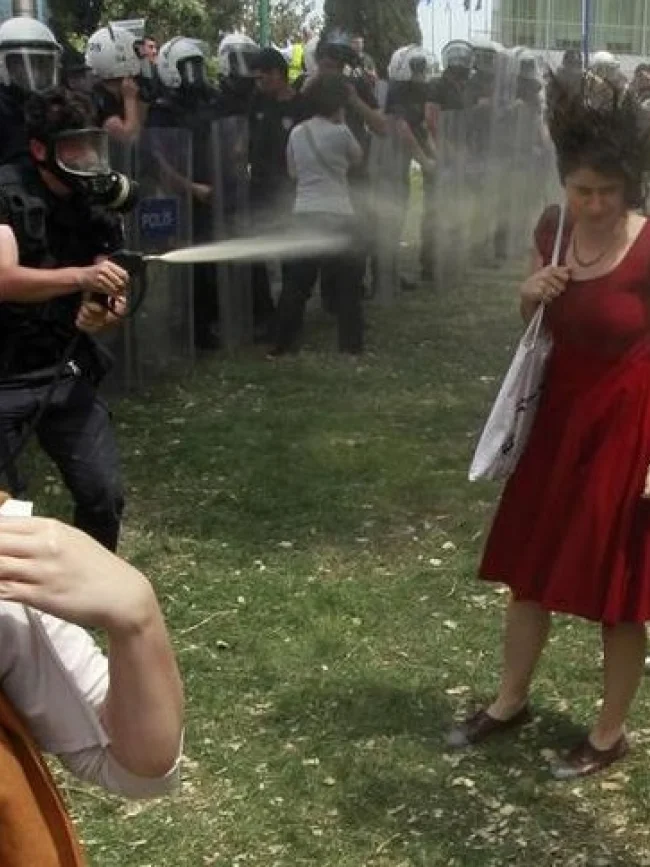 Gezi Parkı Eylemleri, Çözüm Süreci, 17-25 Aralık Dosyası yılı özeti