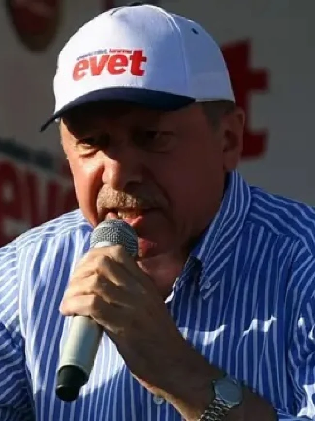 Balyoz Davası, Anayasa Referandumu yılı özeti